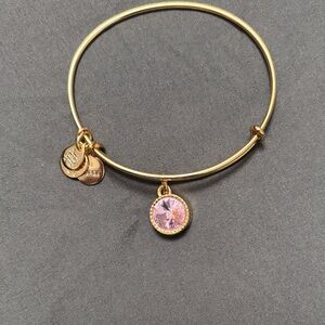 Alex and Ani October bracelet